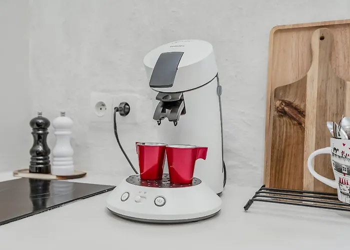 Maison De Pecheur 別荘 *